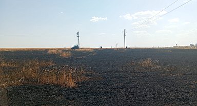 Şırnak'ta buğday tarlasında yangın; 10 dönüm zarar gördü