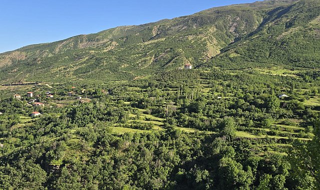 Şırnak'ta ormanlara girişler 30 Eylül'e kadar yasaklandı