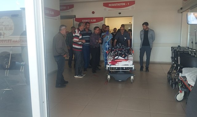 Sivas'ta ayının saldırdığı çoban yaralandı