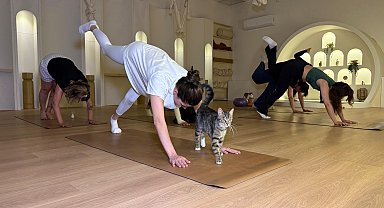 Sporsever kadınlar, yanlarında kedilerle yoga yaptı