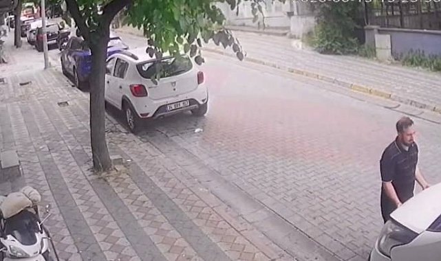 Sultangazi'de kaputun altından kuş, direksiyonun içinden kertenkele çıktı