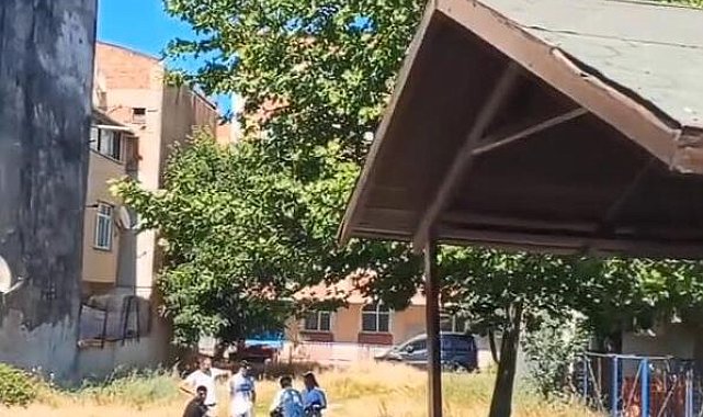 Sultangazi'de uçmasına yardım ettiği yavru karganın annesi saldırdı; başından yaralandı