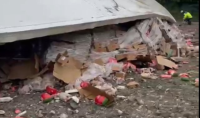 Tavuk eti yüklü TIR şarampole devrildi: 2 yaralı