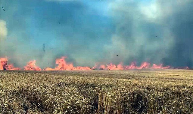 Tekirdağ'da 100 dekar buğday tarlası yandı