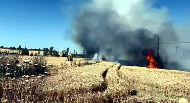 Tekirdağ'da 50 dekar ekili buğday yandı