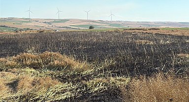 Tekirdağ'da 60 dönüm buğday ve kanola ekili alan yangında zarar gördü