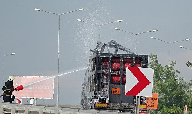 TIR'daki yangın ormana sıçradı