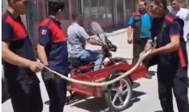 Traktörün tekerleğinden çıkarılan yılan, doğal yaşam alanına bırakıldı