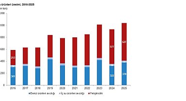 TÜİK: Su ürünleri üretimi 2025 yılında yüzde 11,1 arttı