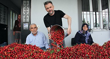 Türkiye'de kiraz mevsimi; Avrupa'ya ihracat başladı