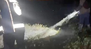 Van Gölü'nde kaçak avlanan 400 kilo inci kefali suya bırakıldı