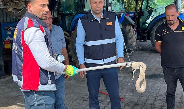 Vinçle kaldırılan otomobilin motor bölümündeki yılan çıkarıldı
