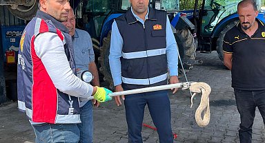 Vinçle kaldırılan otomobilin motor bölümündeki yılan çıkarıldı