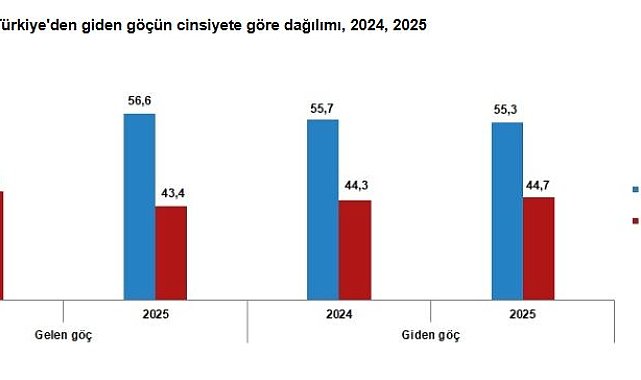 Yurt dışından Türkiye'ye 393 bin 829 kişi göç etti