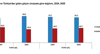 Yurt dışından Türkiye'ye 393 bin 829 kişi göç etti