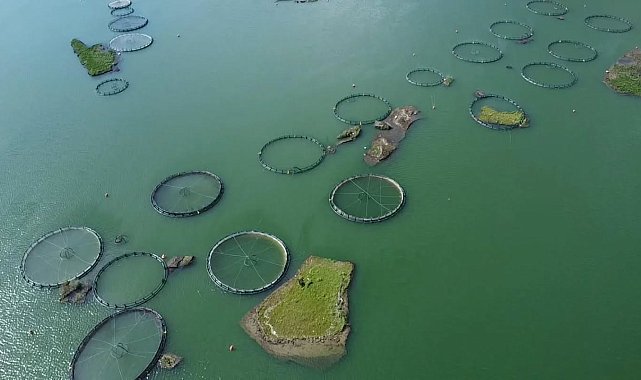 Yüzen adalar için koruma projesinde çalışmalar başladı