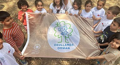 267 okula 'Orman bayrağı'; İstanbul ilk sırada