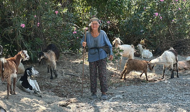 90 yaşında, elinde değneğiyle her gün merada