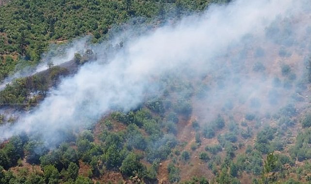 Adana'da orman yangını