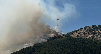Adıyaman'daki orman yangınına havadan ve karadan müdahale sürüyor