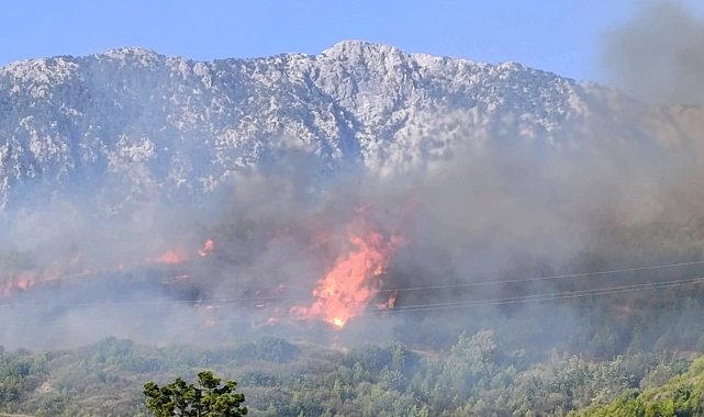 Alanya'da orman yangını