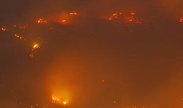 Alanya'da orman yangını