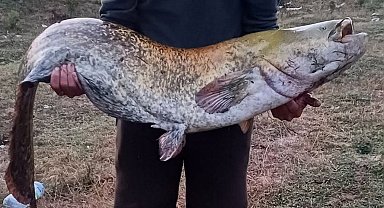 Amatör balıkçı oltayla 35 kilo yayın balığı yakaladı