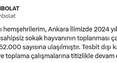 Ankara'da 52 bin sahipsiz sokak hayvanı toplandı