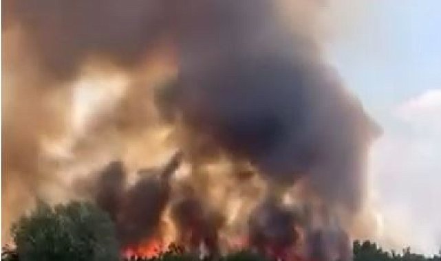 Ankara'da otluk alanda yangın