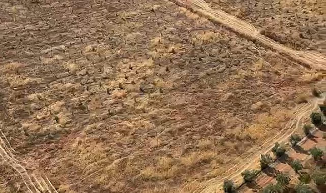 Antalya'da, dün yanan ormanın bitişiğinde arazide yangın