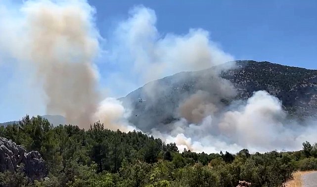 Antalya'da orman yangını