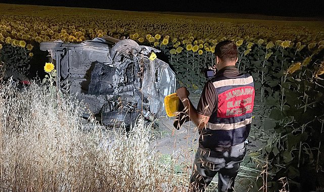 Ayçiçeği tarlasına devrilen otomobilde 5 kişi yaralandı