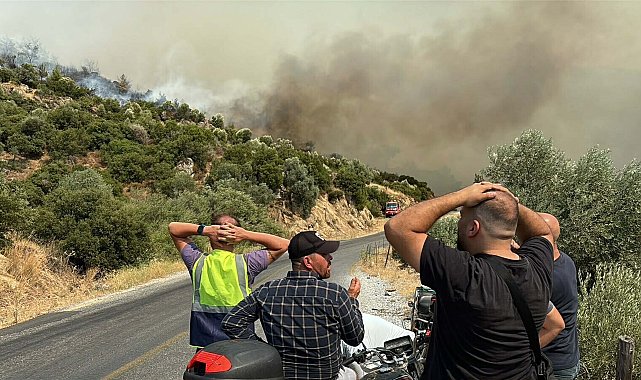 Aydın'daki orman yangını 2'nci gününde