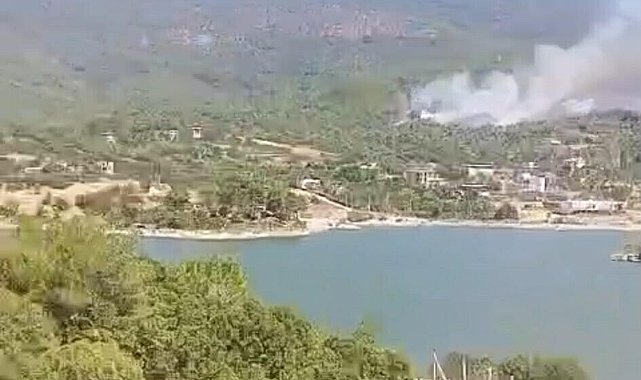 Aydın'daki orman yangınına havadan müdahale yeniden başladı
