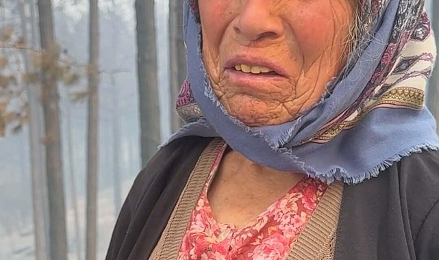 Aydın'daki orman yangınına havadan müdahale yeniden başladı