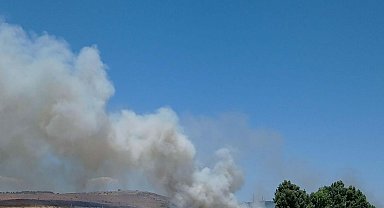 Ayvalık'ta çöplükte yangın