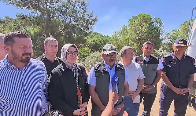 Balıkesir Edremit'teki yangın 2'nci gününde