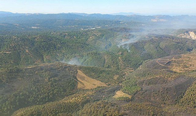Balıkesir Gömeç'teki orman yangını 3'üncü gününde