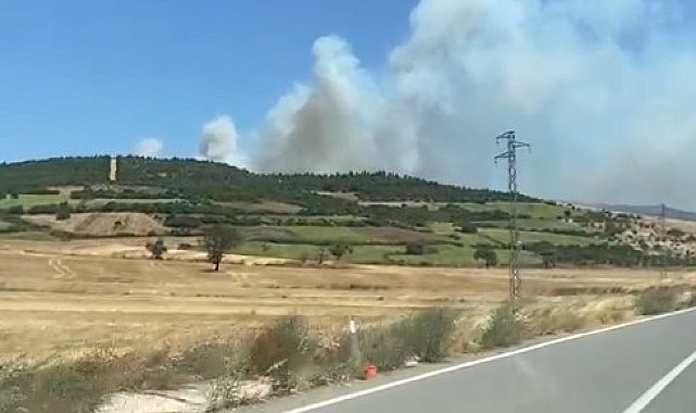 Balıkesir Susurluk'ta orman yangını