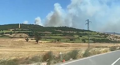 Balıkesir Susurluk'ta orman yangını