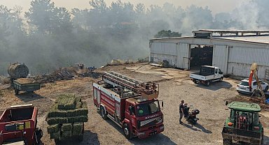 Balıkesir'de Kepsut'un ardından Altıeylül ve Karesi'de de yangın