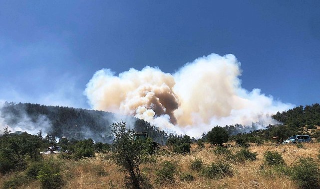 Balıkesir'deki orman yangınları; Altıeylül tamamen, Kepsut büyük ölçüde kontrol altında