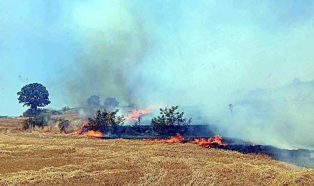 Balya bağlama makinesinden çıkan kıvılcımlar yangına neden oldu