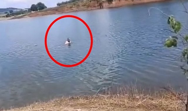 Baraja gömülen otomobil, bağlanan halatla çıkarıldı