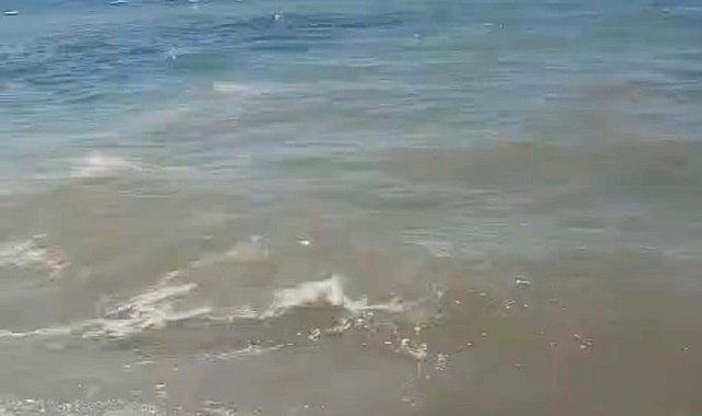 Bodrum'da deniz kirliliği; soruşturma başlatıldı