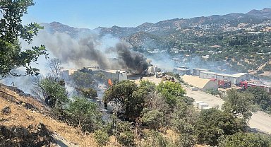 Bodrum'da konteynerde çıkan yangın makilik alana sıçradı