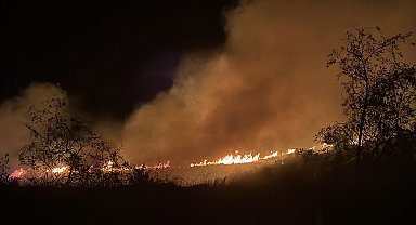 Bodrum'da maki ve otluk yangını