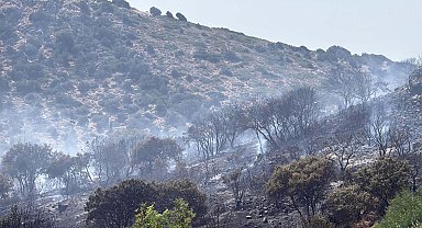 Bodrum'da makilik alanda çıkan yangın kontrol altında