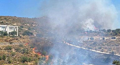 Bodrum'da otluk ve makilik alanda yangın