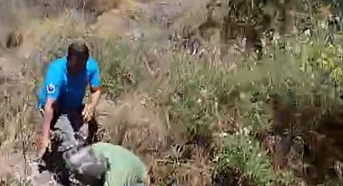 Bodrum'da otluk ve makilik alanda yangın